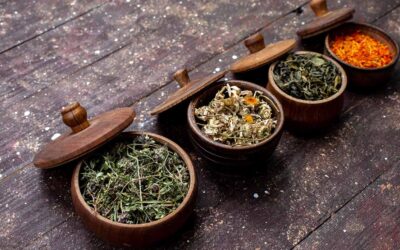 Versatile takeaways of Herbal Medication for conquering health challenges